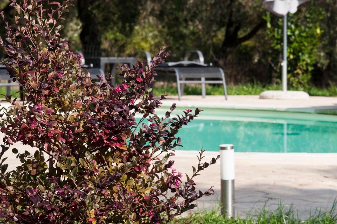 Agriturismo Tenuta Roccaccia Pitigliano Zewnętrze zdjęcie
