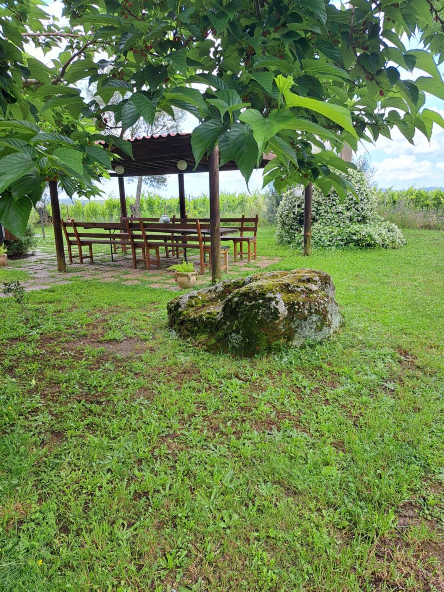 Agriturismo Tenuta Roccaccia Pitigliano Zewnętrze zdjęcie