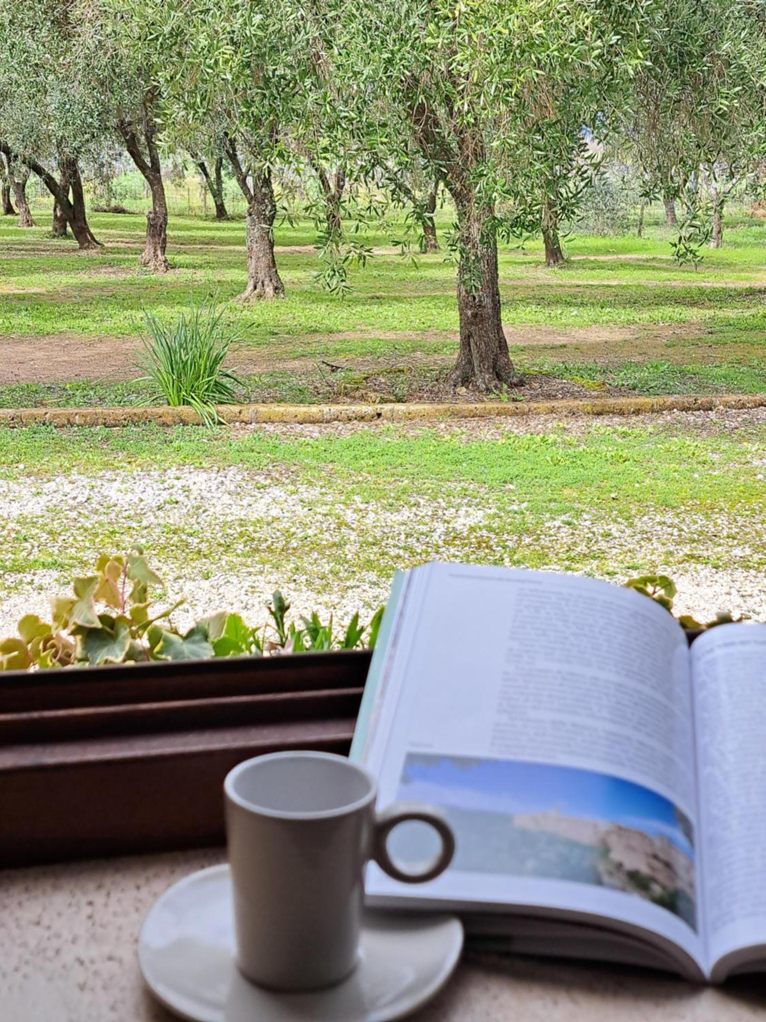 Agriturismo Tenuta Roccaccia Pitigliano Zewnętrze zdjęcie